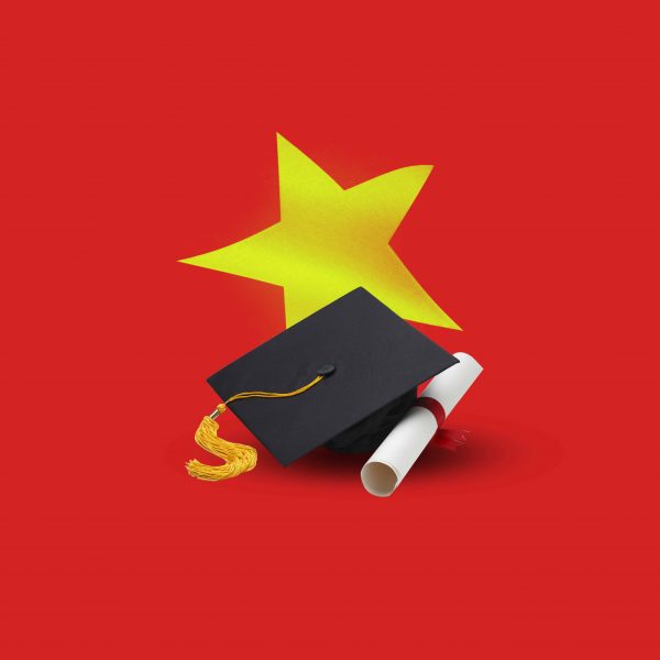 รัฐบาลเวียดนามได้วางกลยุทธ์ปูพื้นฐานการศึกษาขั้นพื้นฐาน  สร้างยุทธศาสตร์การศึกษาระดับสูงใหม่